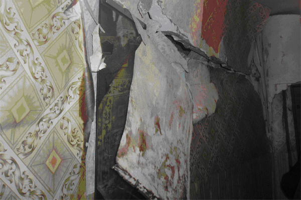 ����� ���� � ������ ������������� ����������� �������: ������������ ������� ��������� ����� ����