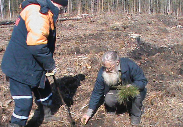 � �������� �������� ����������������� ��������� ���������� ������������� �������, ������������ � 70-����� ������