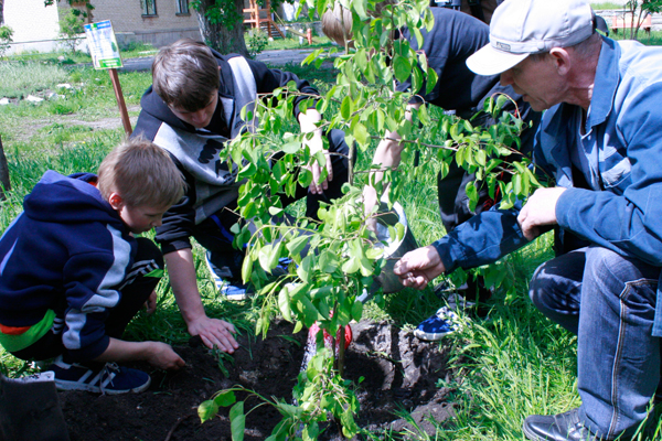 � ������� �������� � ������� ���� �2 ������ ������������ ��������� ��� �������� � ��� ����������������