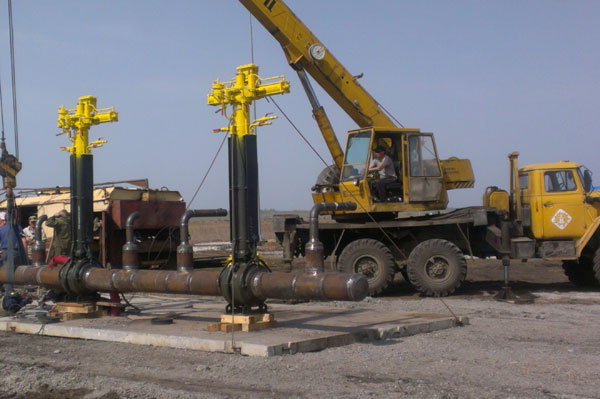 �������� ����������������� ��������� � 2016 ���� ��������� ������ � ������������ 11,5 �� ��������������������� �����