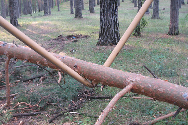 В период ураганных ветров и лесных пожаров ОАО «Челябинскгазком» работает в усиленном режиме